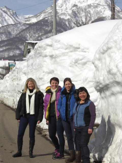 Akakura Yours Inn Myoko Bagian luar foto